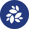 NKN Acción